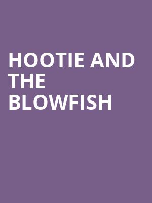 Hootie and the Blowfish, Fiddlers Green Amphitheatre, Denver