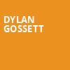 Dylan Gossett, Summit Music Hall, Denver