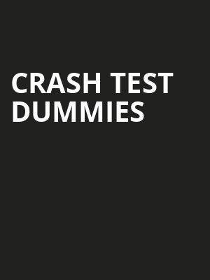 Crash Test Dummies Poster