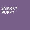 Snarky Puppy, Ogden Theater, Denver