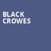 Black Crowes, Fillmore Auditorium, Denver