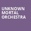Unknown Mortal Orchestra, Ogden Theater, Denver