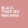 Black Tiger Sex Machine, Red Rocks Amphitheatre, Denver