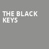 The Black Keys, Ball Arena, Denver