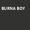 Burna Boy, Ball Arena, Denver
