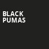 Black Pumas, Mission Ballroom, Denver