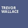 Trevor Wallace, Boulder Theater, Denver