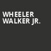 Wheeler Walker Jr, Boulder Theater, Denver