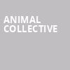 Animal Collective, Ogden Theater, Denver